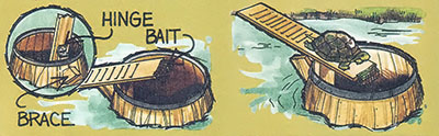 Bi-Monthly Almanac: Turtle Trap, Battery Rejuvenation, and Other Home Maintenance Tips